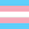 trans trans